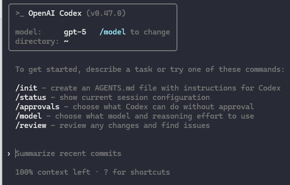 Codex 与 npm 更新示意截图